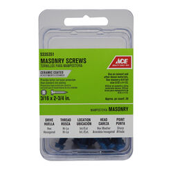 Ace 3/16 in. S X 2-3/4 in. L Slotted Hex Washer Head Masonry Screws 20 pk