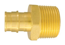 Apollo Expansion PEX / Pex A 3/4 in. PEX T X 1 in. D MPT Brass Male Adapter