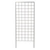 image-2