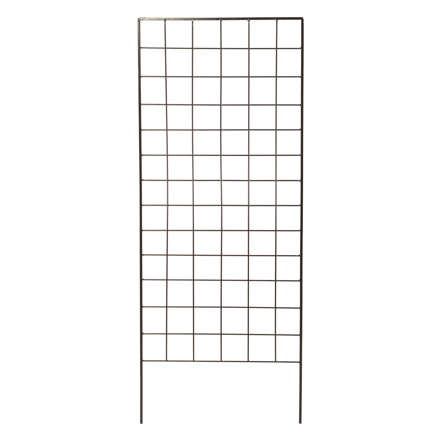 image-2