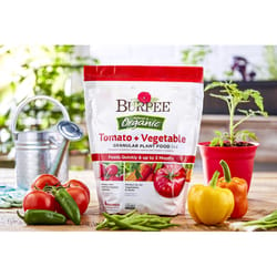 Burpee Tomato and Vegetable Organic Granules Plant Food 4 lb