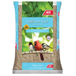 Ace Safflower Songbird Safflower Seeds Wild Bird Food 10 lb