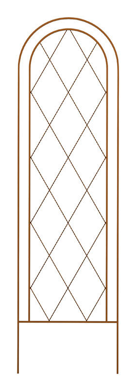 image-1