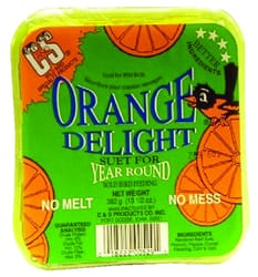 C&S Products Orange Delight Assorted Species Beef Suet Wild Bird Food 11.75 oz
