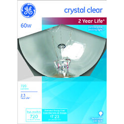 GE 60 W G40 Globe Incandescent Bulb E26 (Medium) Crystal Clear 1 pk