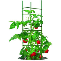 Gardeners Blue Ribbon 60 in. H X 12 in. W Green Steel Tomato Cage