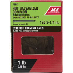 Ace 12D 3-1/4 in. Common Hot-Dipped Galvanized Steel Nail Flat 1 lb