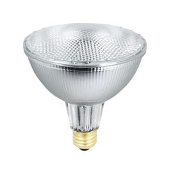Ace 35 W PAR38 Floodlight Halogen Bulb 580 lm Bright White 2 pk