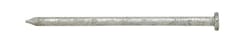 Ace 10D 3 in. Common Hot-Dipped Galvanized Steel Nail Flat 5 lb