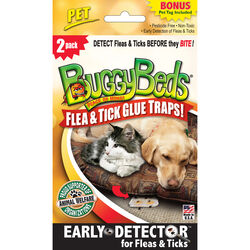 Buggy Beds Glue Trap 2 pk