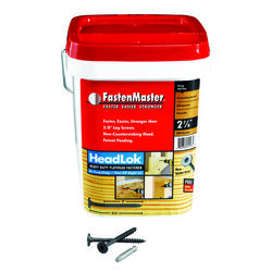 FastenMaster HeadLok No. 10 S X 2-7/8 in. L Spider Epoxy Wood Screws 500 pk