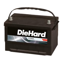 DieHard 880 12 V Automotive Battery