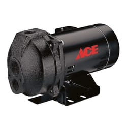 Ace 1 HP 13.5 gph Cast Iron Convertible Jet Pump