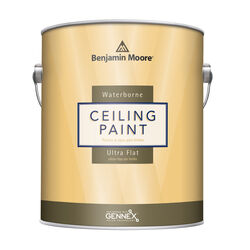 Benjamin Moore Waterborne Ceiling Paint Flat Base 1 Ceiling Paint Interior 1 gal