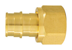 Apollo Expansion PEX / Pex A 3/4 in. PEX T X 3/4 in. D FPT Brass Female Adapter