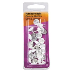 Hillman Large S Brass-Plated White Brass Furniture Nails 25 pk