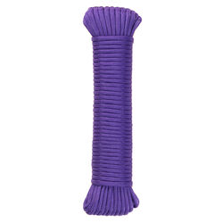 SecureLine 5/32 in. D X 50 ft. L Purple Braided Nylon Paracord