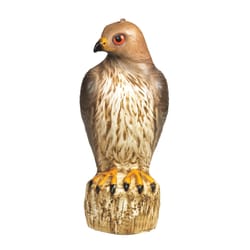 Bird-B-Gone Bird Deterrent Decoy For Red Tailed Hawks