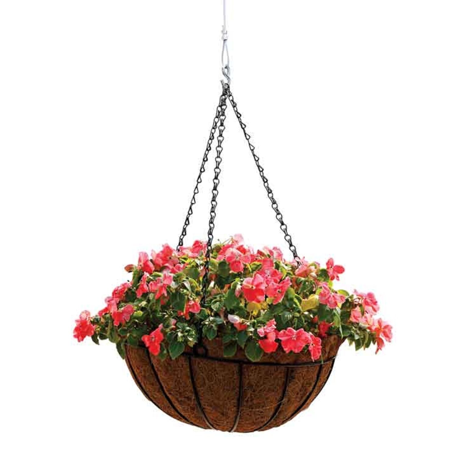 image-2