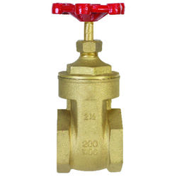 B&K ProLine 2-1/2 in. FIP Brass Gate Valve