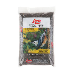 Lyric Assorted Species Black Oil Sunflower Seed Wild Bird Food 5 lb