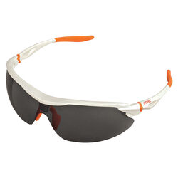 STIHL Two-tone Safety Glasses Smoke White 1 pc