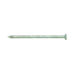 Stallion 6D 2 in. Common Hot-Dipped Galvanized Steel Nail Flat 5 lb