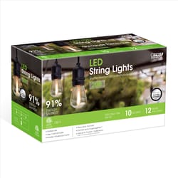FEIT Electric LED Edison LED Light String Clear 240 in. 10 lights