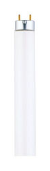 Westinghouse 25 W T8 48 in. L Fluorescent Bulb Cool White Linear 4100 K 1 pk