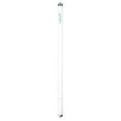 GE Ecolux 17 W T8 24 in. L Fluorescent Bulb Warm White Linear 3000 K 1 pk