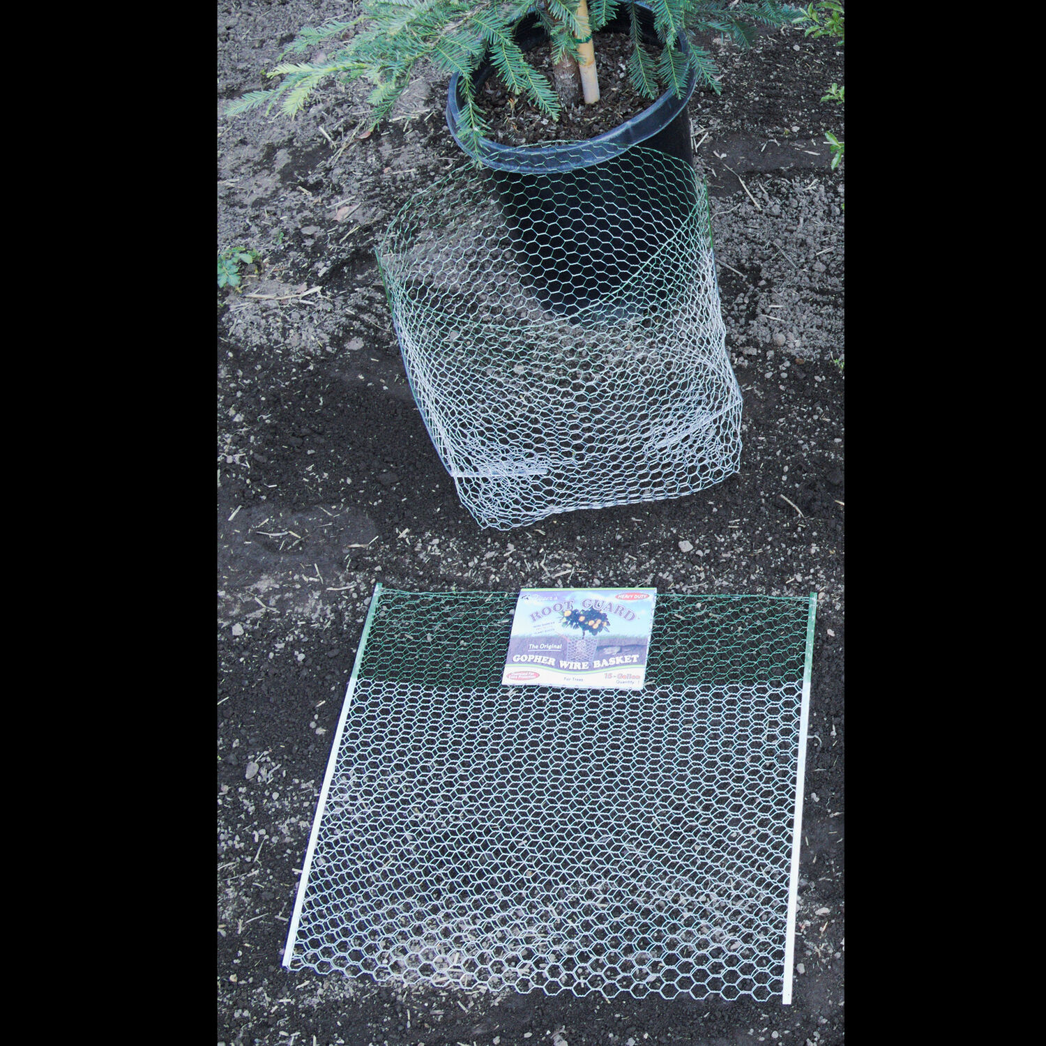 image-3