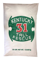 Barenbrug Kentucky 31 Tall Fescue Full Sun/Medium Shade Grass Seed 50 lb
