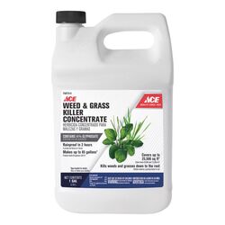 Ace Grass & Weed Killer Concentrate 1 gal