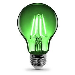 Feit Electric acre A19 E26 (Medium) Filament LED Bulb Green 30 Watt Equivalence 1 pk