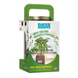 Back to the Roots Self-Watering Planter Shishito Peppers Assorted Herbs Grow Kit 1 pk