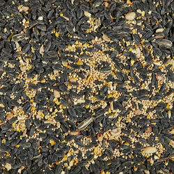 Kaytee Songbird Songbird Black Oil Sunflower Seed Wild Bird Food 14 lb