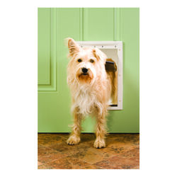 Petsafe 14 in. H X 9.25 in. W Plastic Pet Door