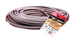 Southwire Duraclad 100 ft. 12/3 Solid Steel Armored AC Cable