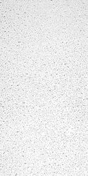 USG Ceilings Plateau 48 in. L X 23.88 in. W 0.5625 in. Square Edge Ceiling Tile 1 pk