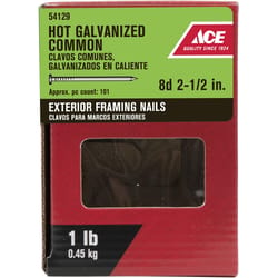 Ace 8D 2-1/2 in. Common Hot-Dipped Galvanized Steel Nail Flat 1 lb