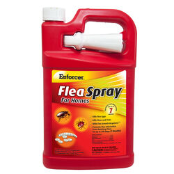 Enforcer Flea Spray for Homes Liquid Insect Killer 1 gal