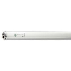 GE Ecolux 34 W T12 48 in. L Fluorescent Bulb Cool White A-Line 4100 K 1 pk