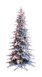 Holiday Bright Lights 8 ft. Slim Incandescent 570 ct Park City Flocked Christmas Tree