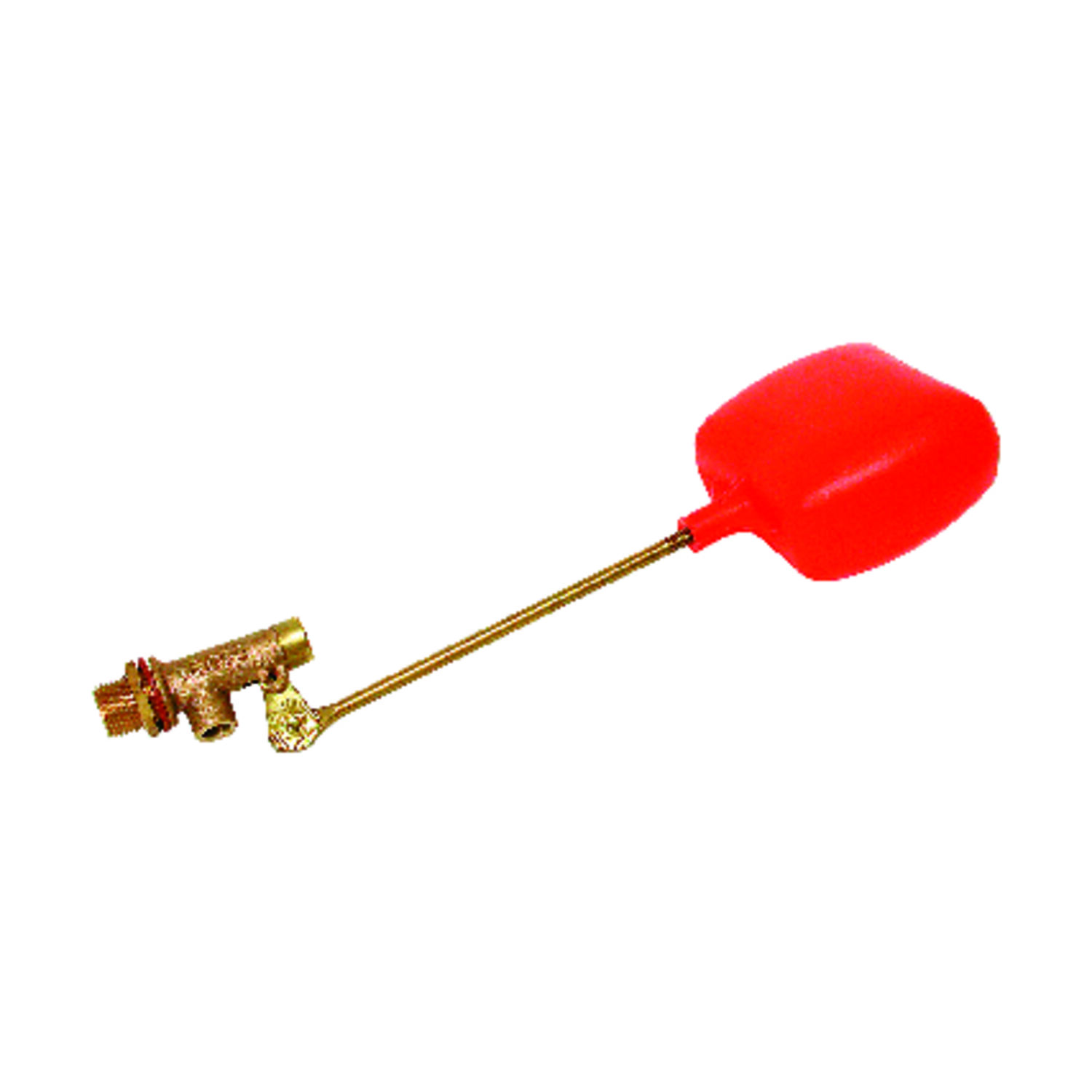 image-1