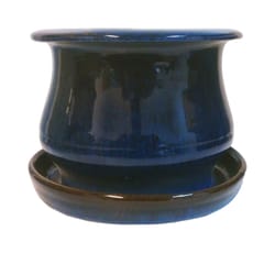 Trendspot 6 in. H X 6 in. W Ceramic Pot Blue