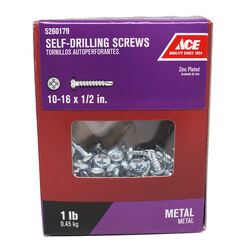 Ace No. 10-16 S X 1/2 in. L Phillips Pan Head Self- Drilling Screws 1 lb