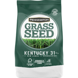 Pennington Kentucky 31 Tall Fescue Full Sun/Medium Shade Grass Seed 5 lb