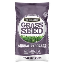 Pennington Annual Ryegrass Full Sun/Light Shade Grass Seed 25 lb