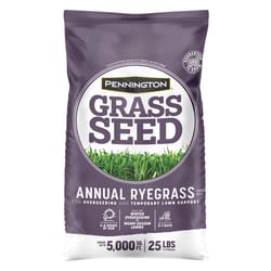 Pennington Annual Ryegrass Full Sun/Light Shade Grass Seed 25 lb