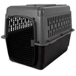 Aspen Pet Polymer Pet Kennel Gray 30 in. H X 27 in. W X 40 in. D